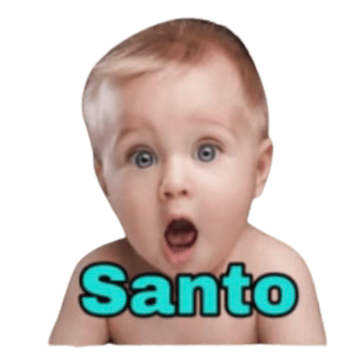 PUROS CERDOS 8