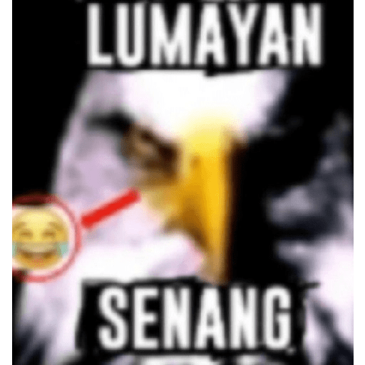 Makarena papoi 3