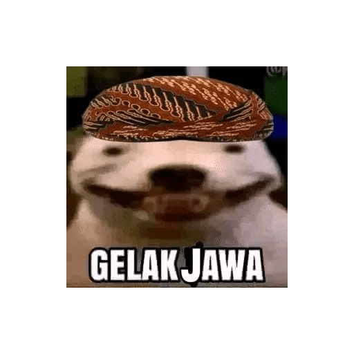 Makarena papoi 25