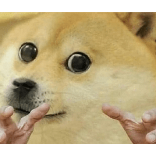 Dogs 17
