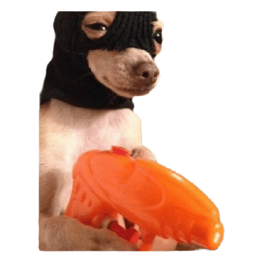 Dogs 7