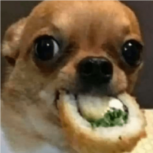 Dogs 23