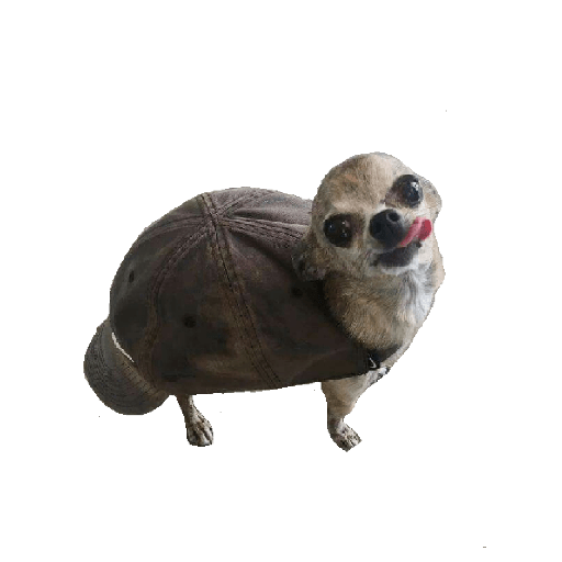Dogs 9