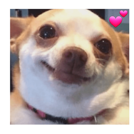 Dogs 2