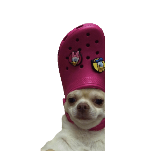 Dogs 4