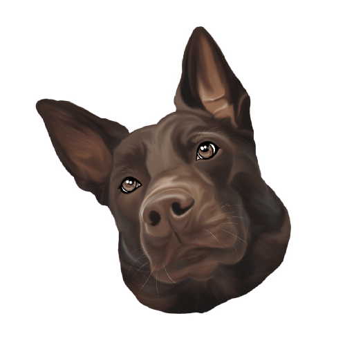 Mascotas a color