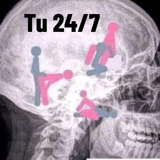 TAMMY 2023 8