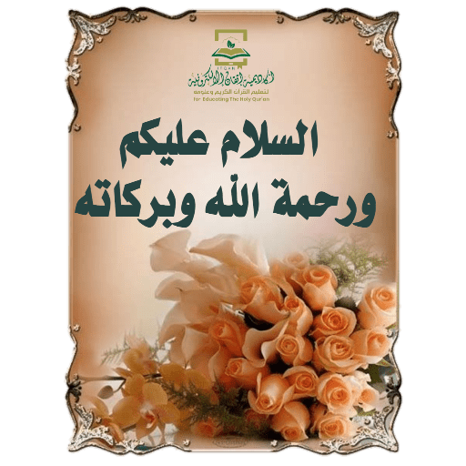 حلقات