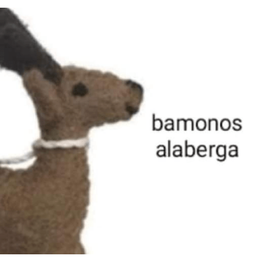 Teamodojacat 9