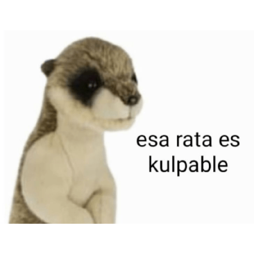 Teamodojacat 14