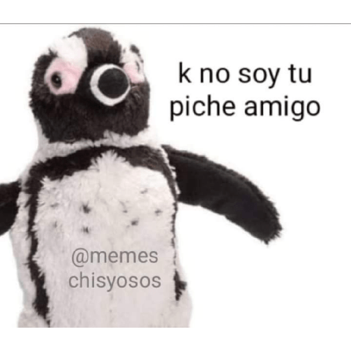 Teamodojacat 8