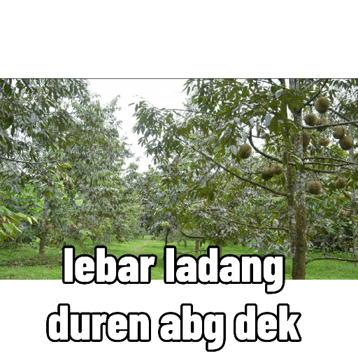 Bdkdkrnrk 8