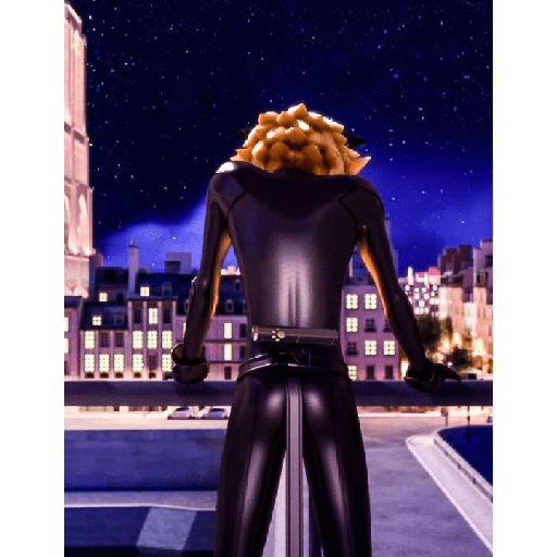 Cat noir 2 2