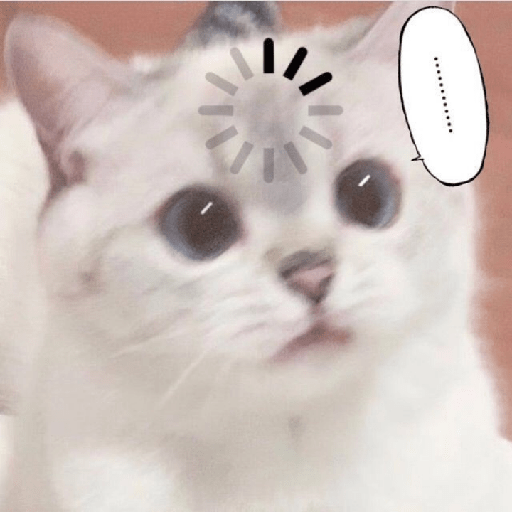 Uno gato 4