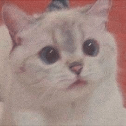 Uno gato 2