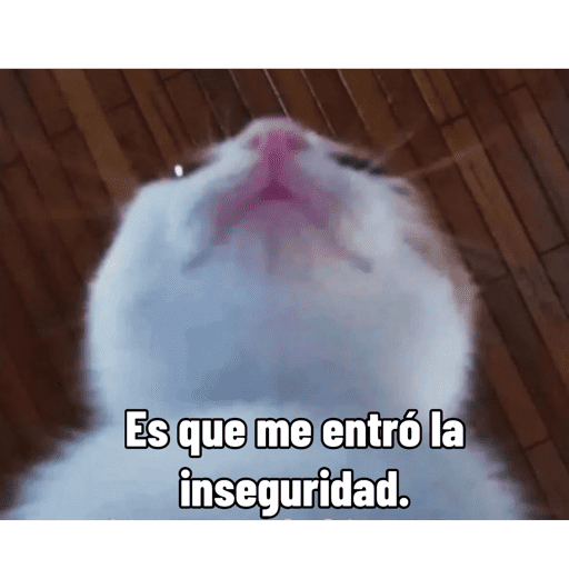 Ola 12