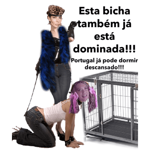 Tuga 7