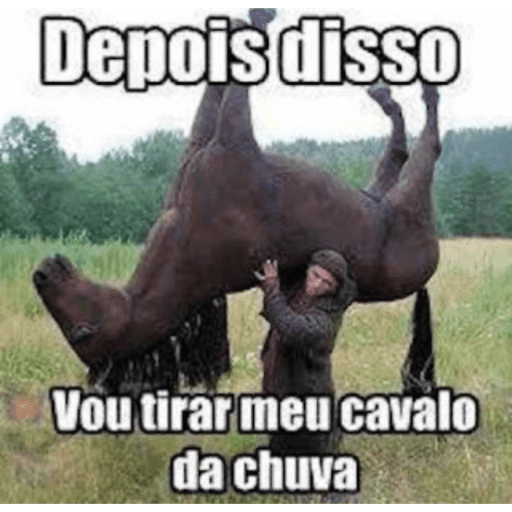 Tuga 2