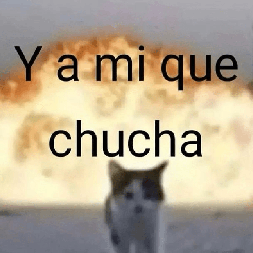 Tú q o que 🤨 17
