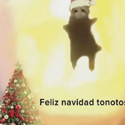 Tú q o que 🤨 16