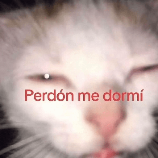 Tú q o que 🤨 15