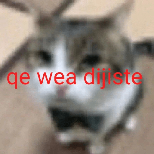 Tú q o que 🤨 14