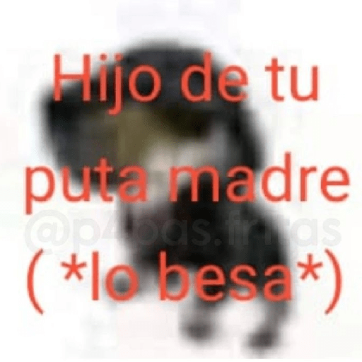Tú q o que 🤨 13