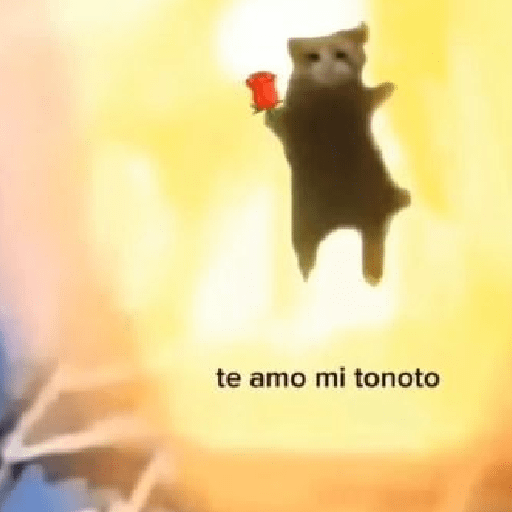 Tú q o que 🤨 12