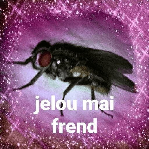 Tú q o que 🤨 10