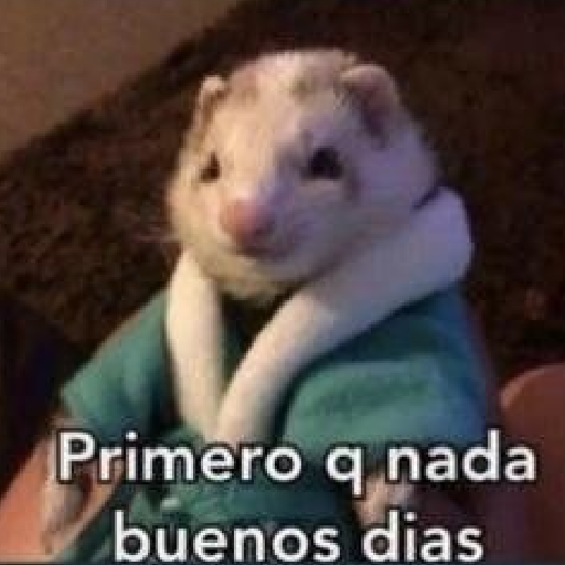 Tú q o que 🤨 9