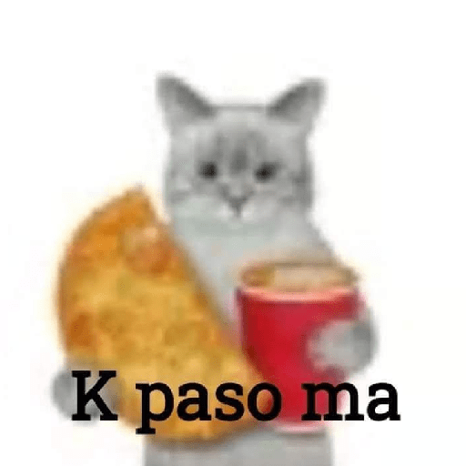 Tú q o que 🤨 6
