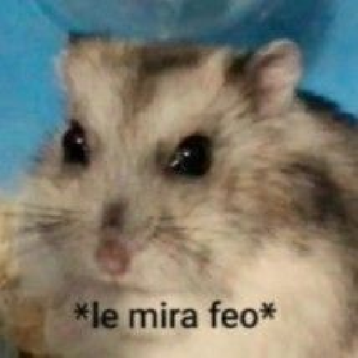 Tú q o que 🤨 18