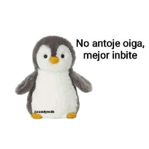 Tú q o que 🤨 21
