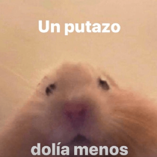 Tú q o que 🤨 28