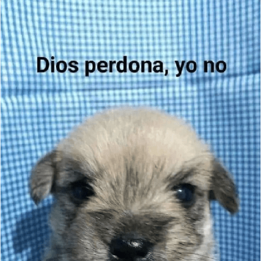 Tú q o que 🤨 29
