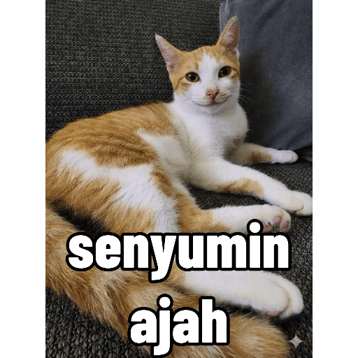 Stiker Saya 5