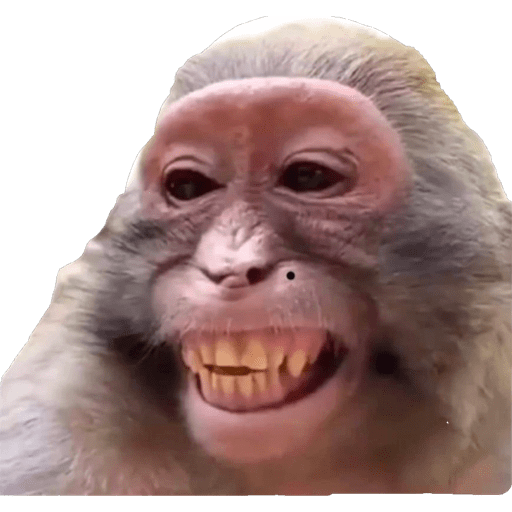 Reações  22