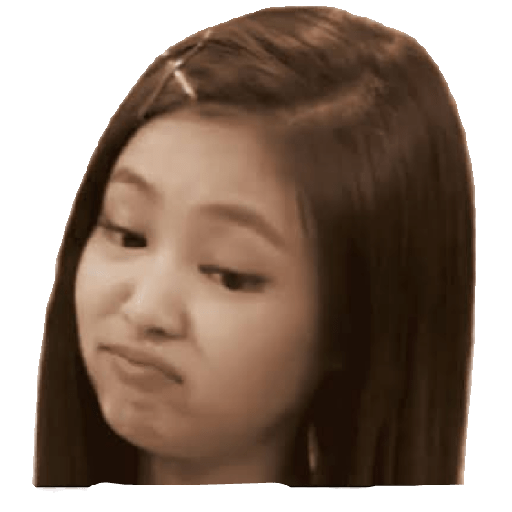 Funny blackpink 24