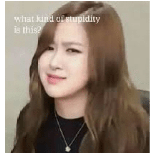 Funny blackpink 3