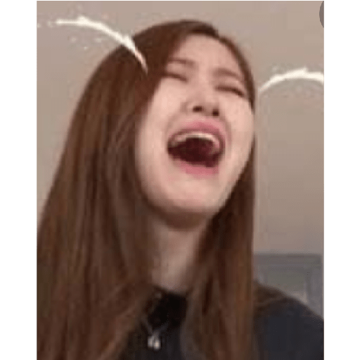 Funny blackpink 25