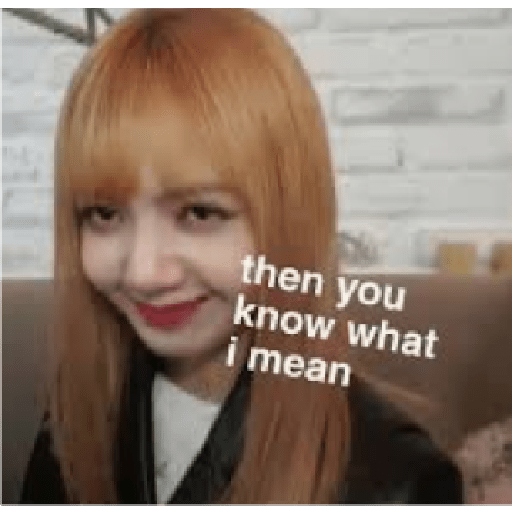 Funny blackpink 9