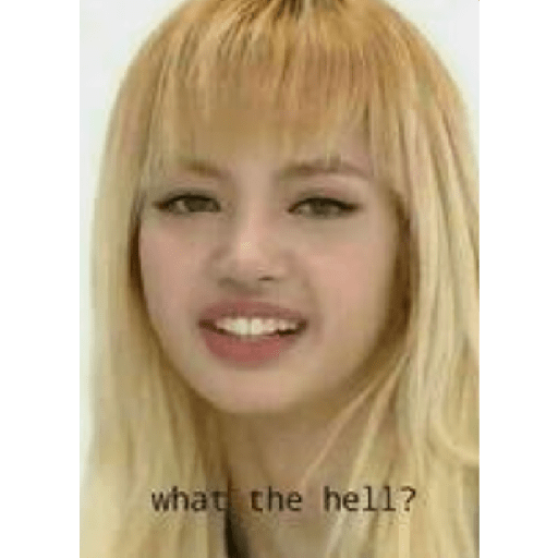 Funny blackpink 17