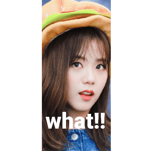 Funny blackpink 15
