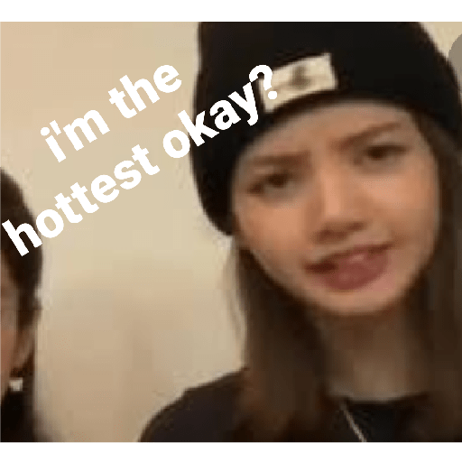 Funny blackpink 30