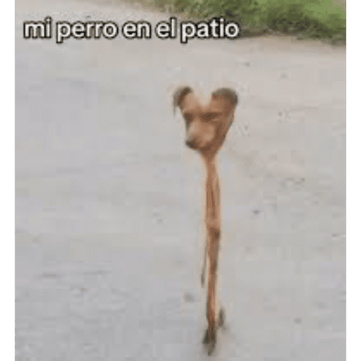 Mis pegatinas 19
