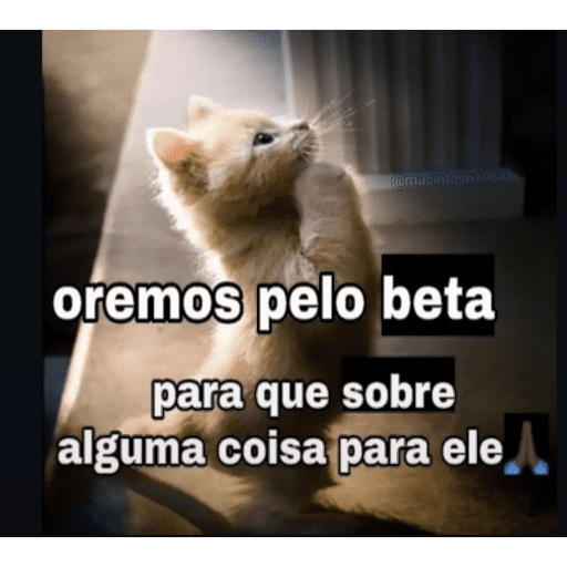 Reação sincera 17