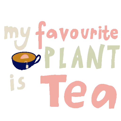 Tea & Coffe 🫖☕️ 3