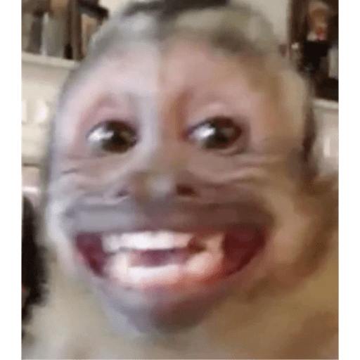 Monos 6