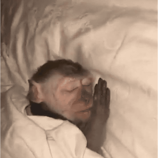 Monos 7
