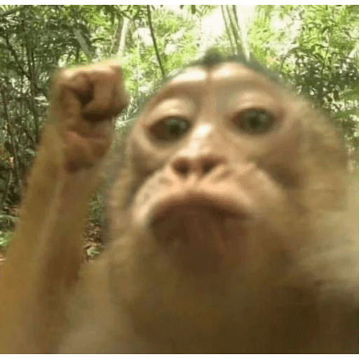 Monos 9